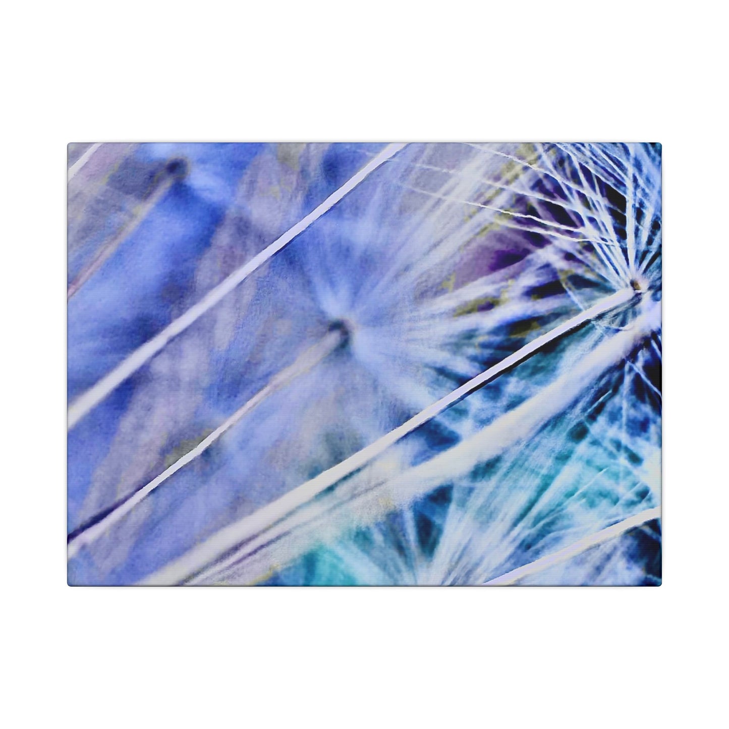 Matte Canvas - Fragile Infinity