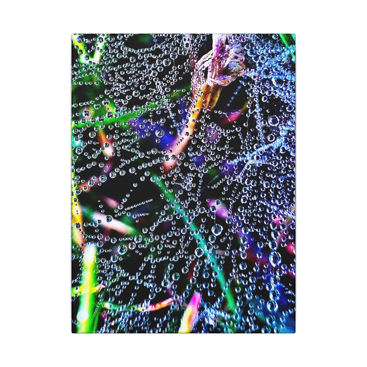 Matte Canvas - The Rain Web Galaxy