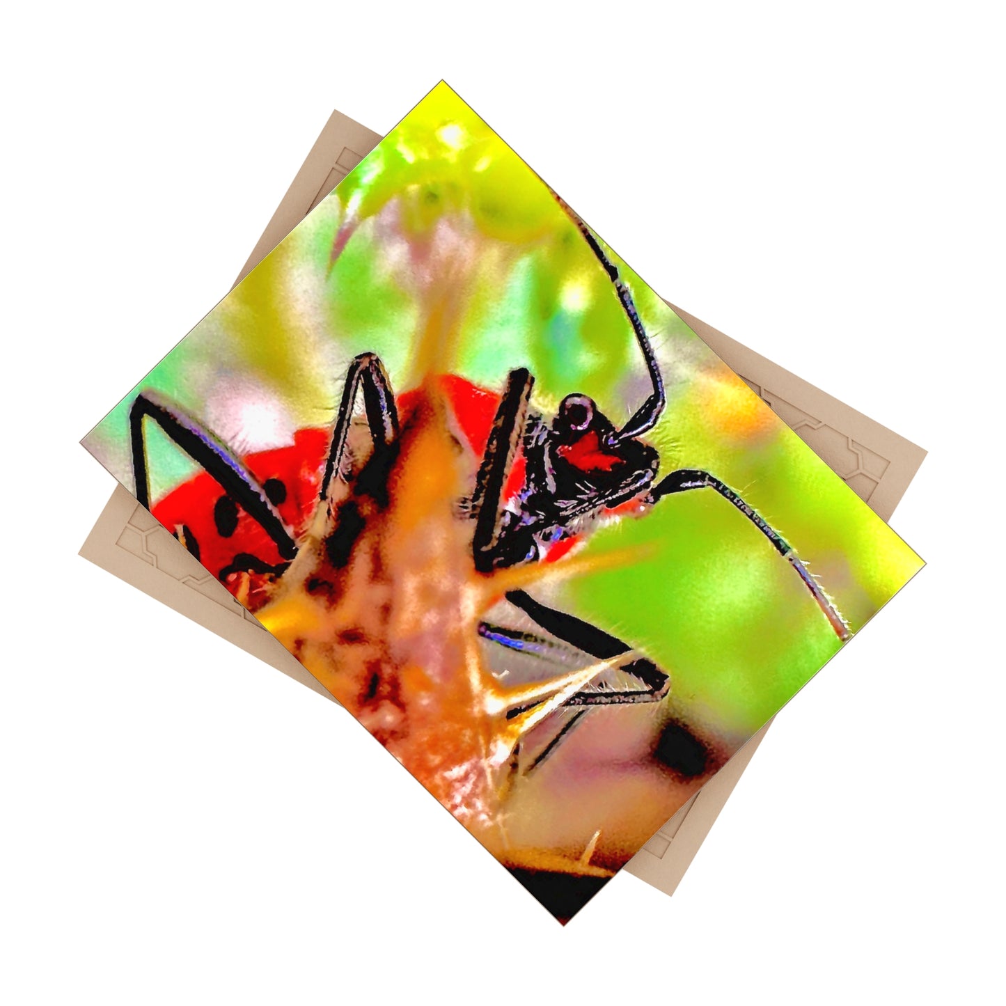 Ceramic Photo Tile - Perform No Performance No