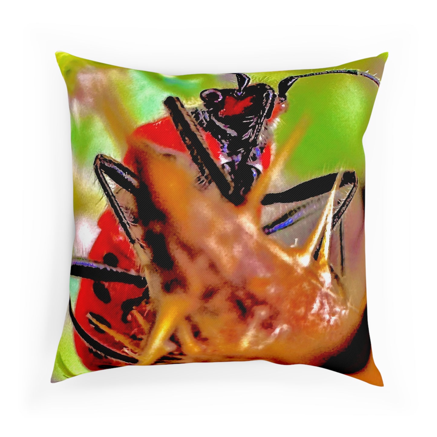 Cushion - The Bug Who Stole the Stage