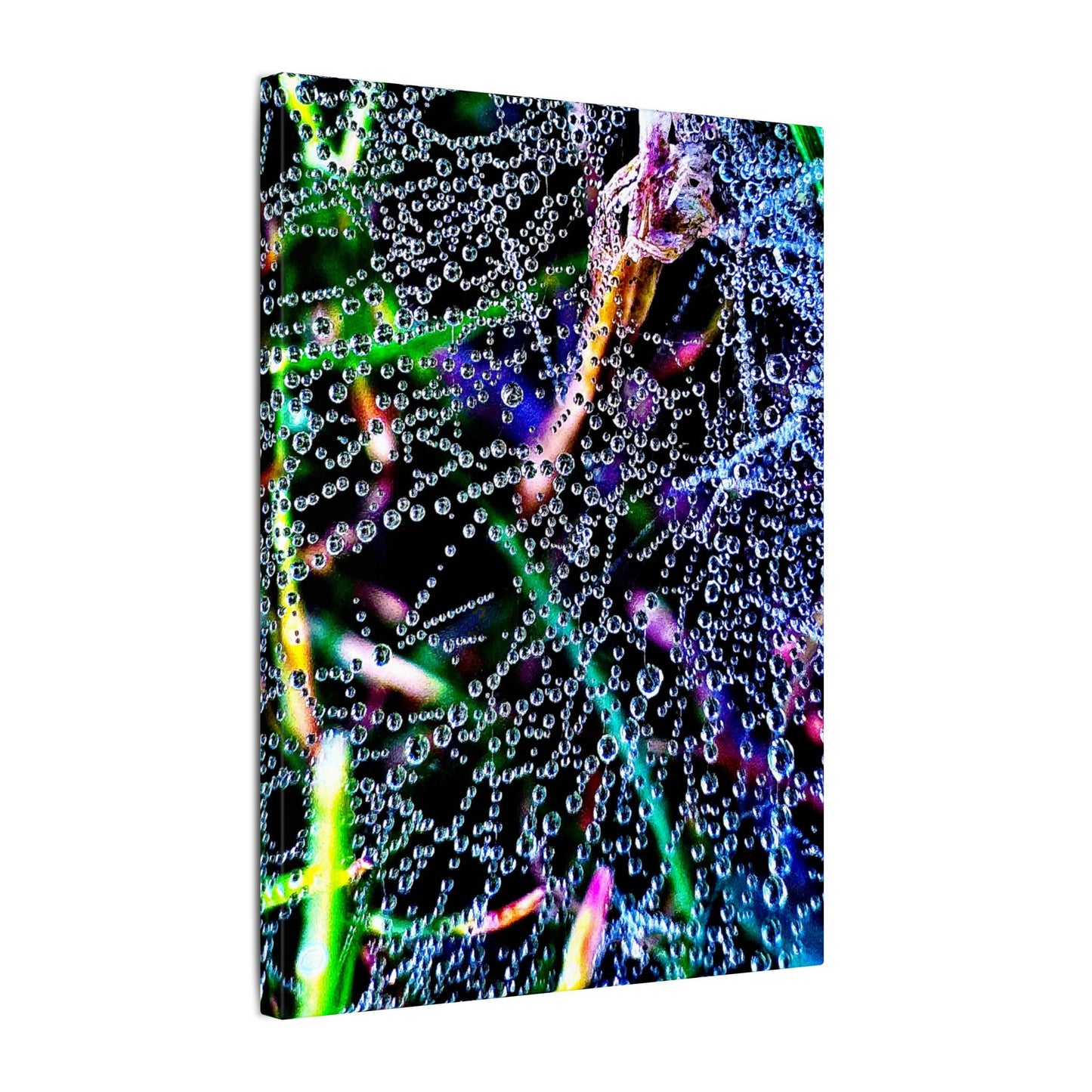 Matte Canvas - The Rain Web Galaxy