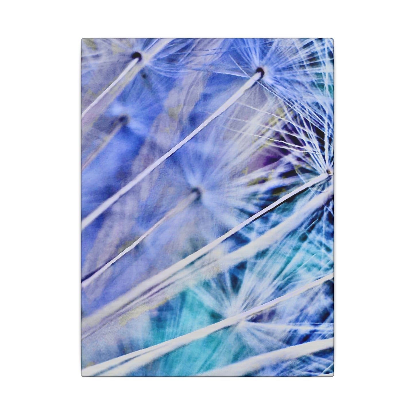 Matte Canvas - Fragile Infinity