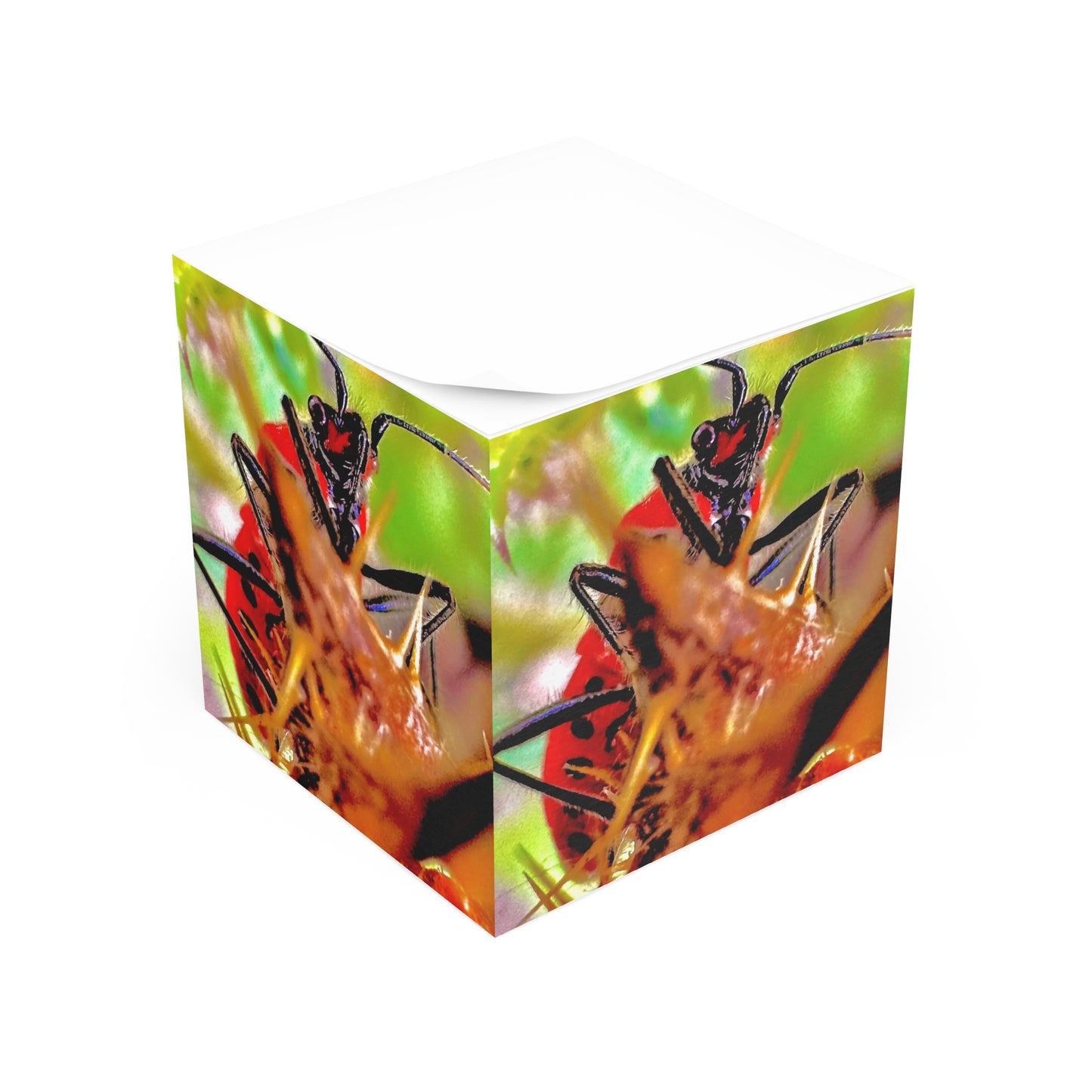 Cube - Side Notes from the Wild