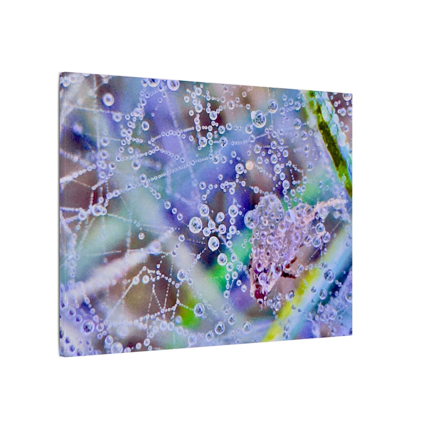 Matte Canvas - Lavender Web