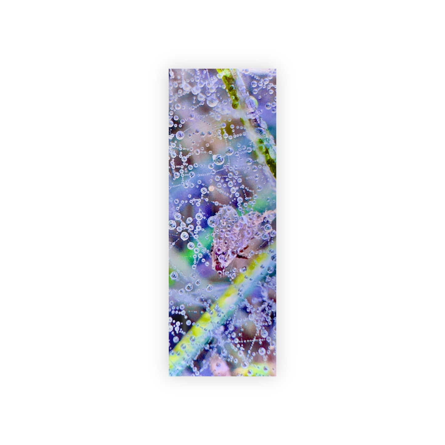Gift Paper Roll - Wrap my SoftlyMorning