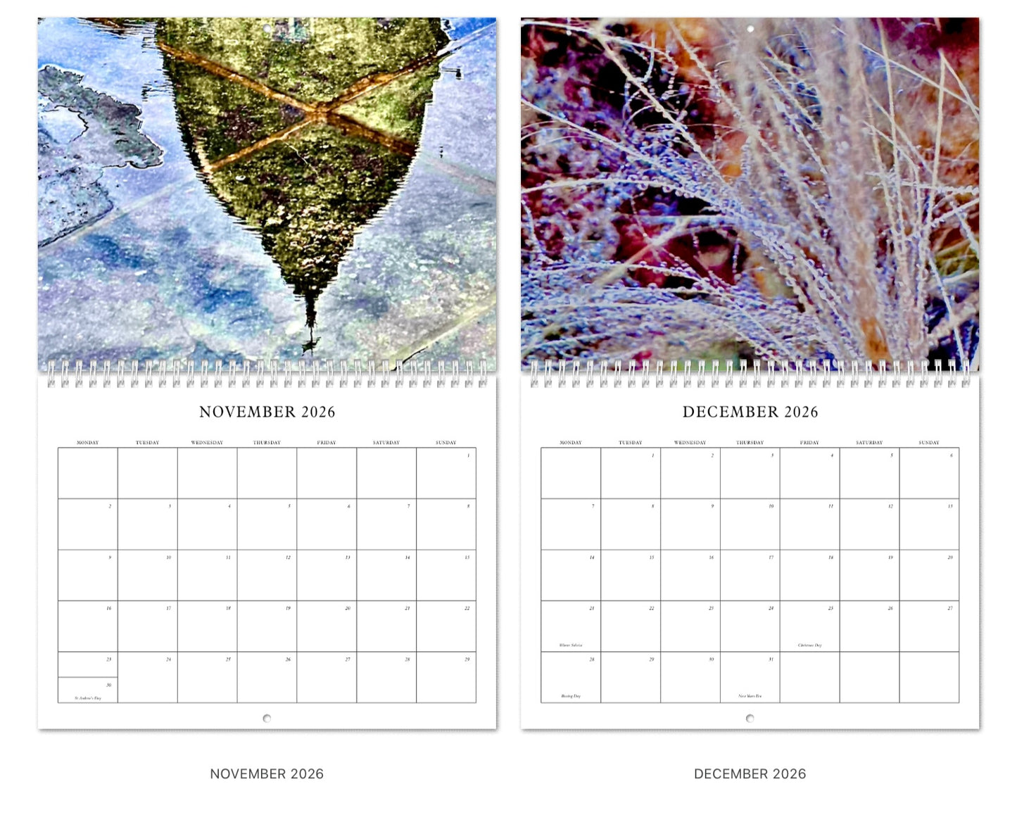 Through the Rain: 2026 in 12 Feelings