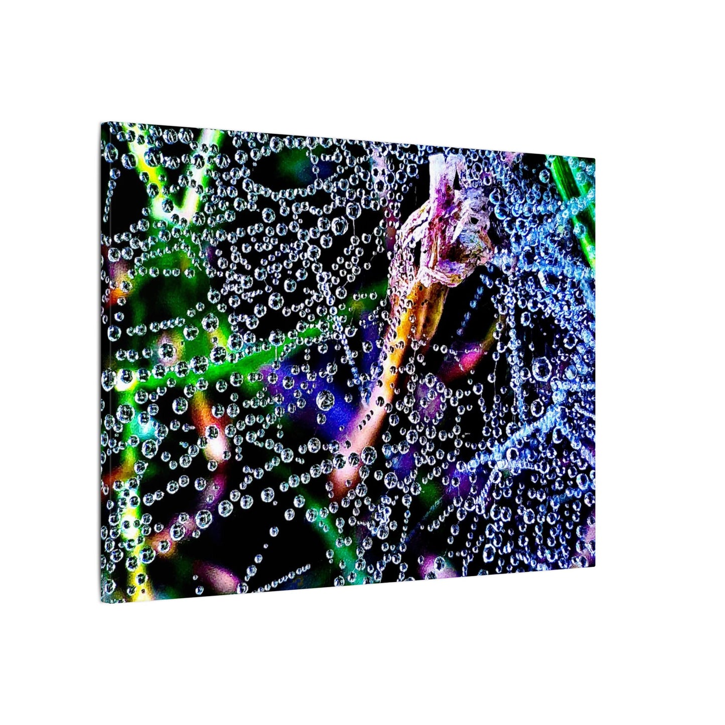 Matte Canvas - The Rain Web Galaxy