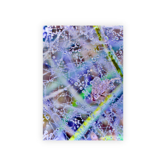 Gift Paper Roll - Wrap my SoftlyMorning
