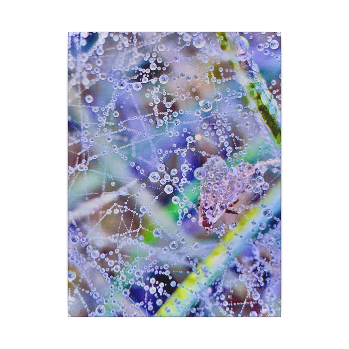Matte Canvas - Lavender Web