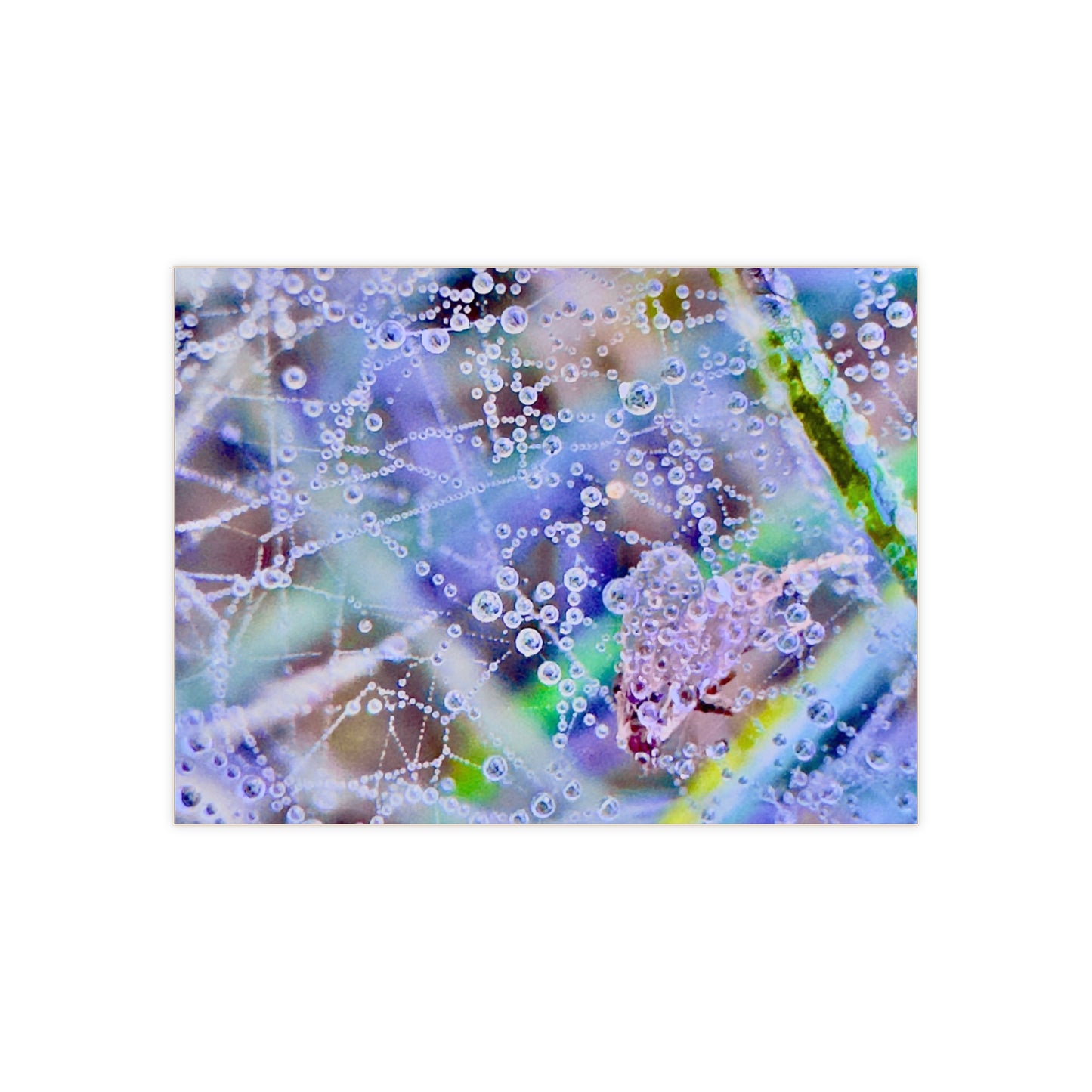 Ceramic Photo Tile - Let the Raindrops Speak
