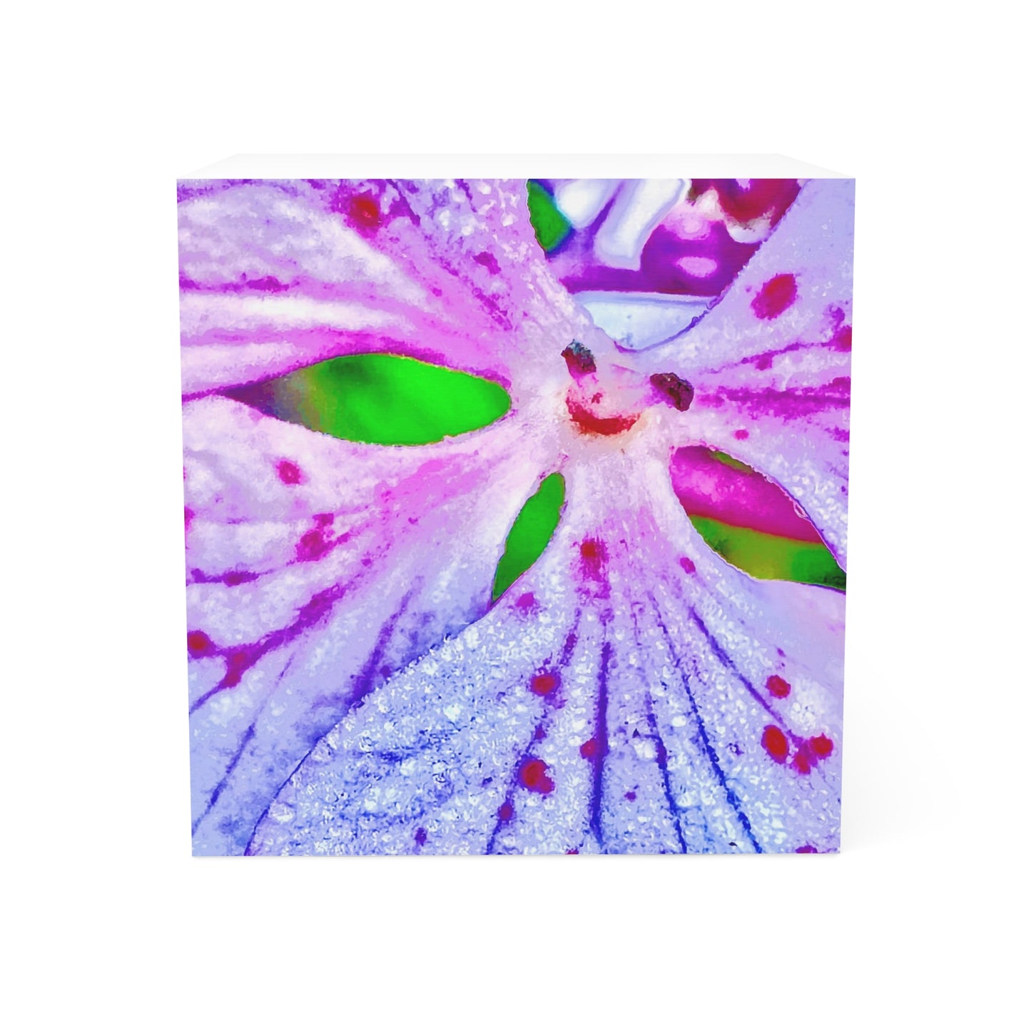 Note Cube - 700 Sticky Echoes