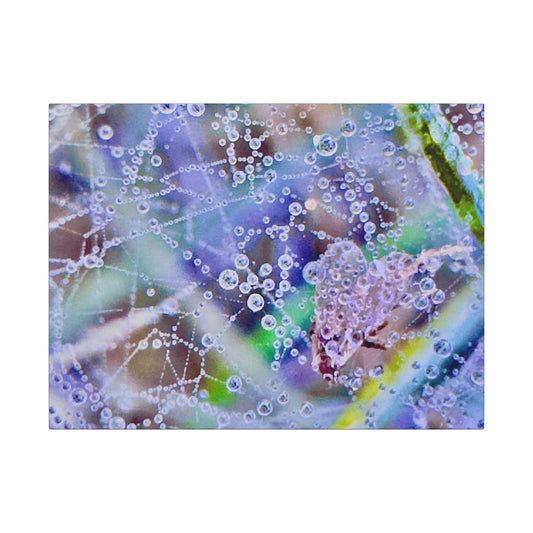 Matte Canvas - Lavender Web