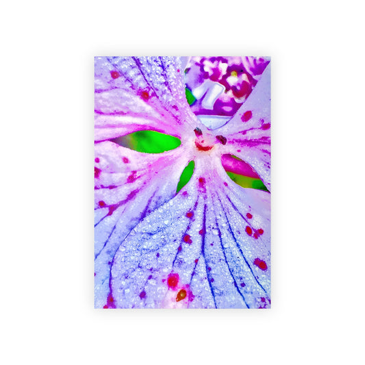 Gift Paper Roll - Smilepaper