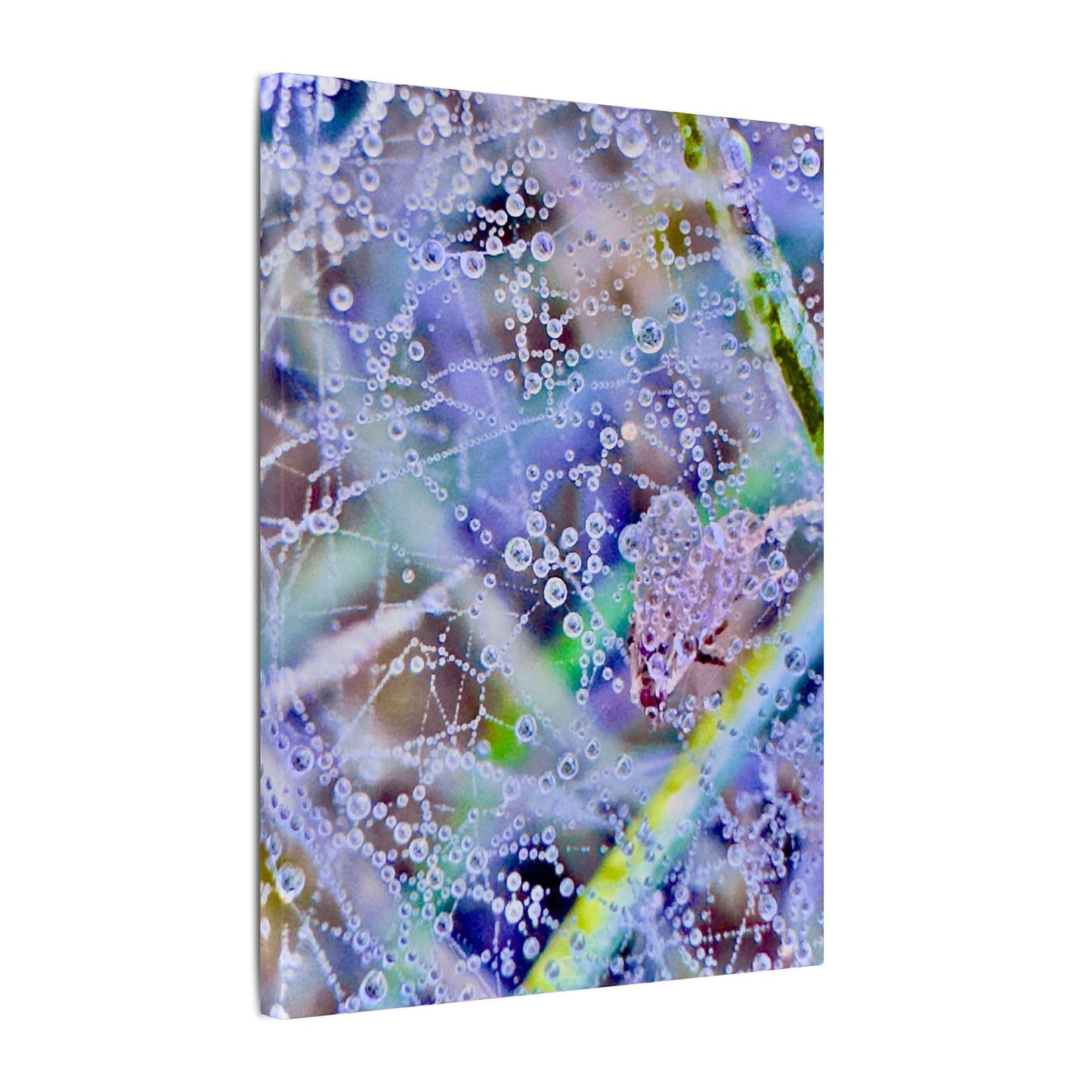Matte Canvas - Lavender Web