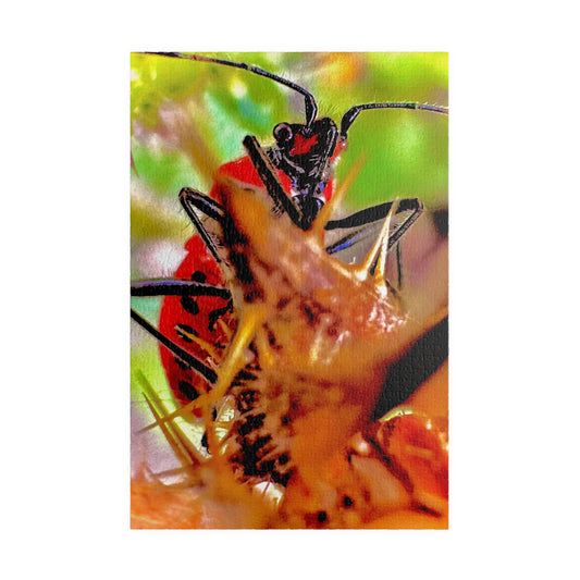A Puzzle (110, 252, 520, 1014-piece) for the Brave - Loud into Chipboard