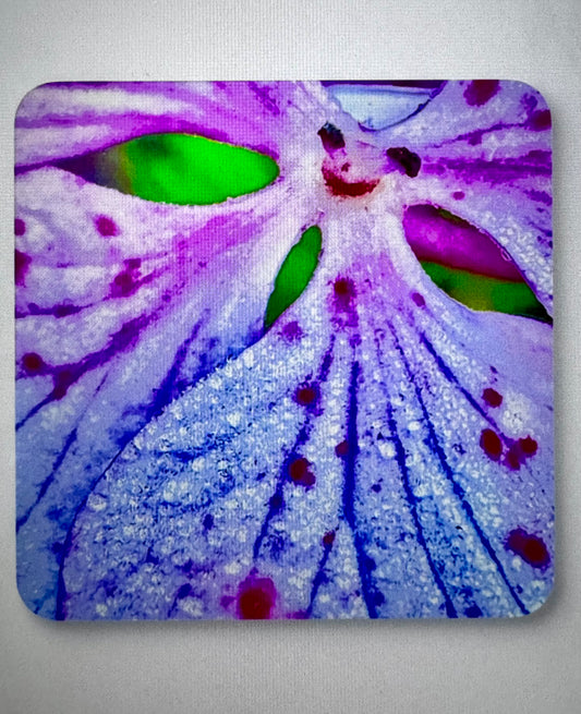 Corkwood Coaster Set -Flower Smile Last