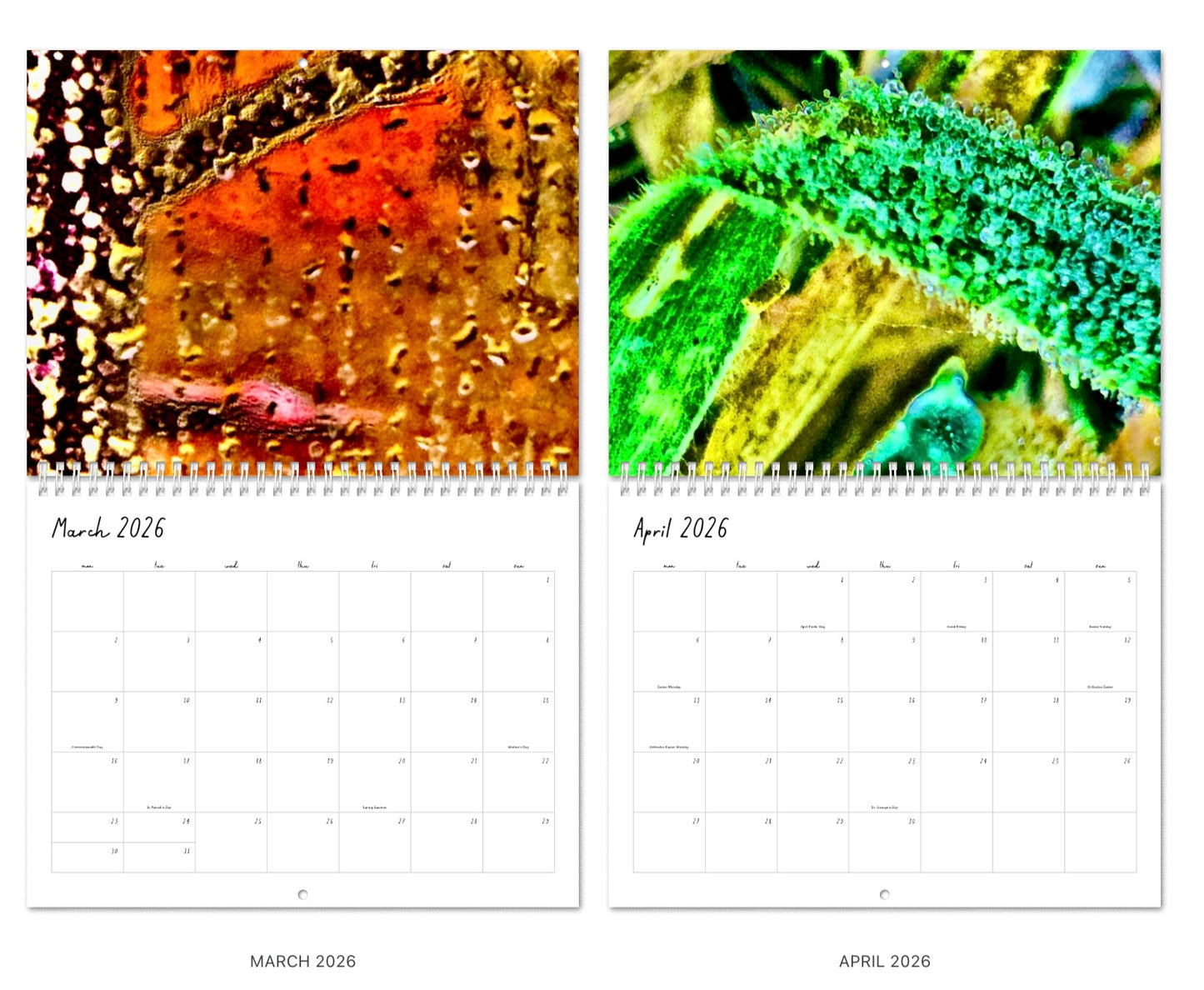 Whispers of Light 2026 - 365 Days of Silence & Stories