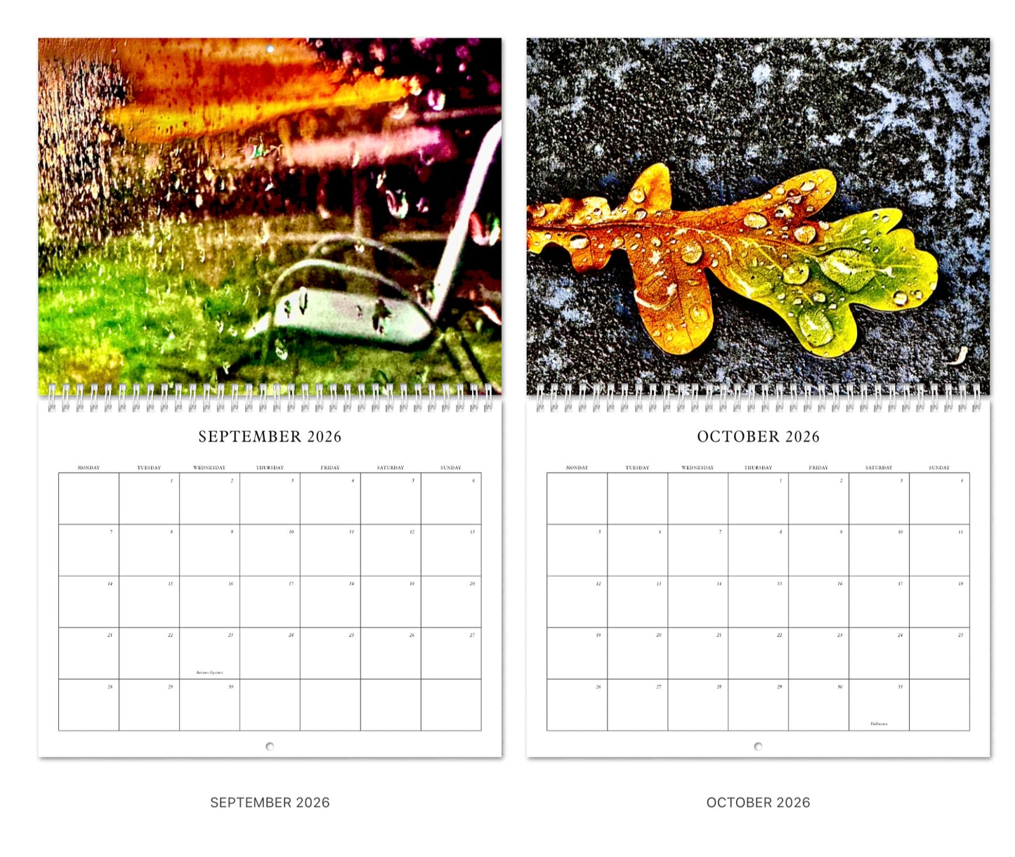 Through the Rain: 2026 in 12 Feelings