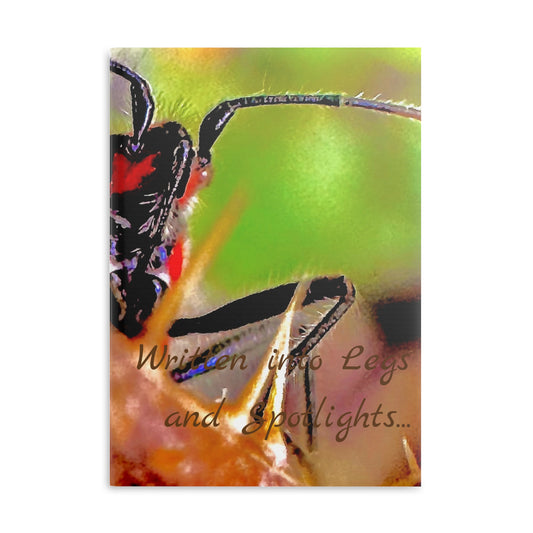 Notebook with Puffy Covers - Written Into Legs and Spotlights
