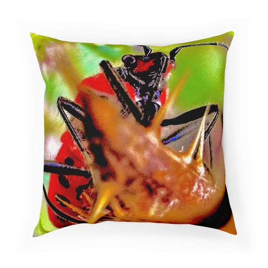 Cushion - The Bug Who Stole the Stage