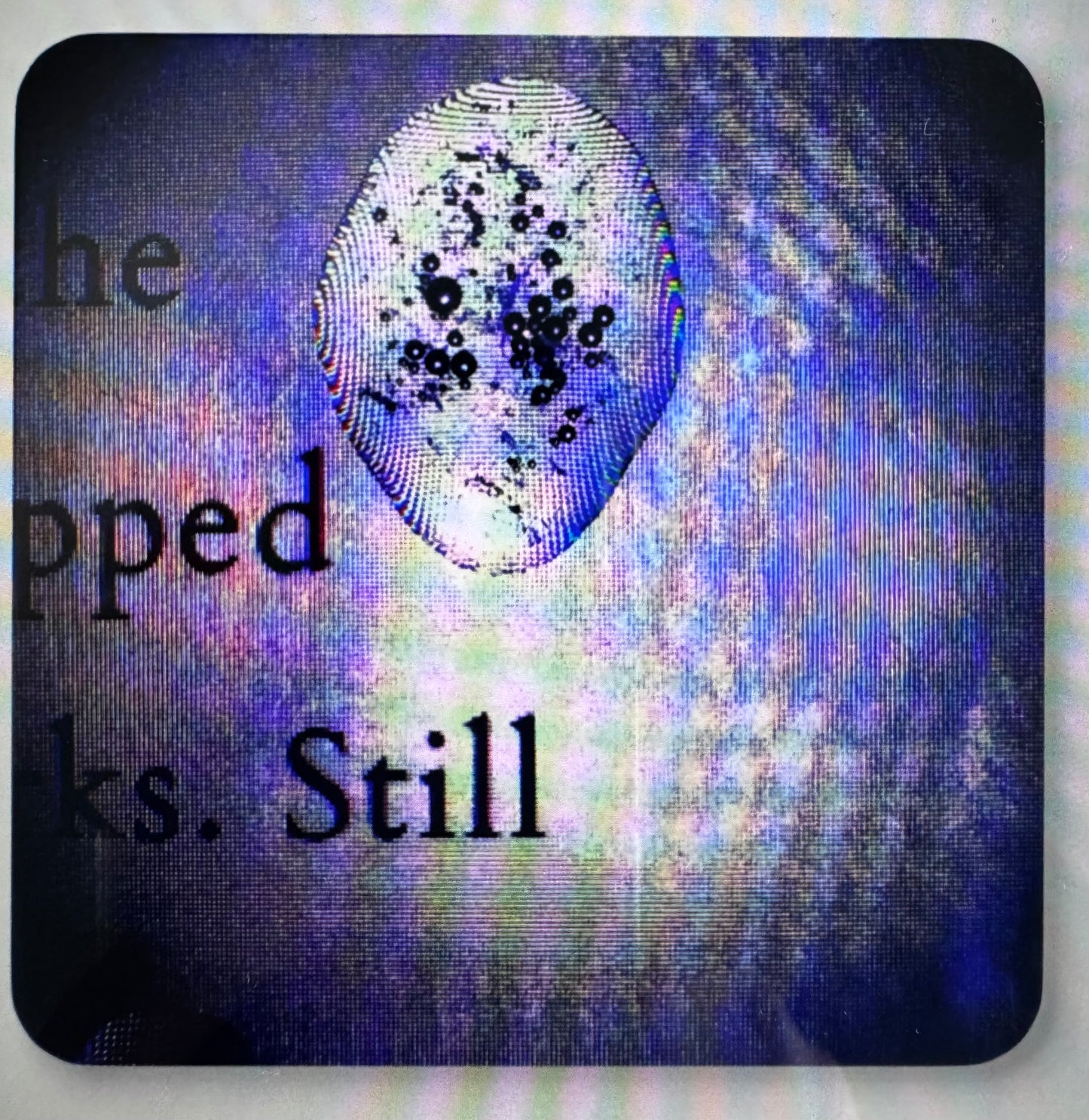 Corkwood Coaster Set