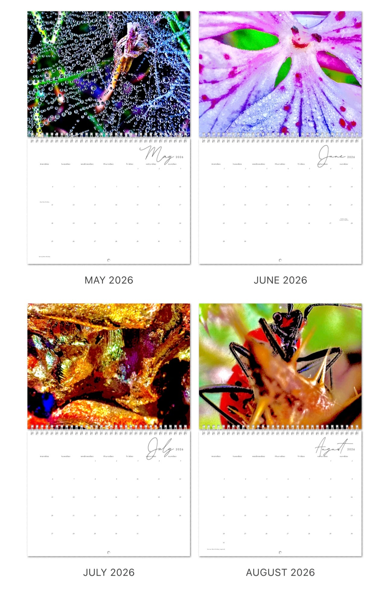 365 Ways to Say - A Year of Love & Wild Dreams 2026