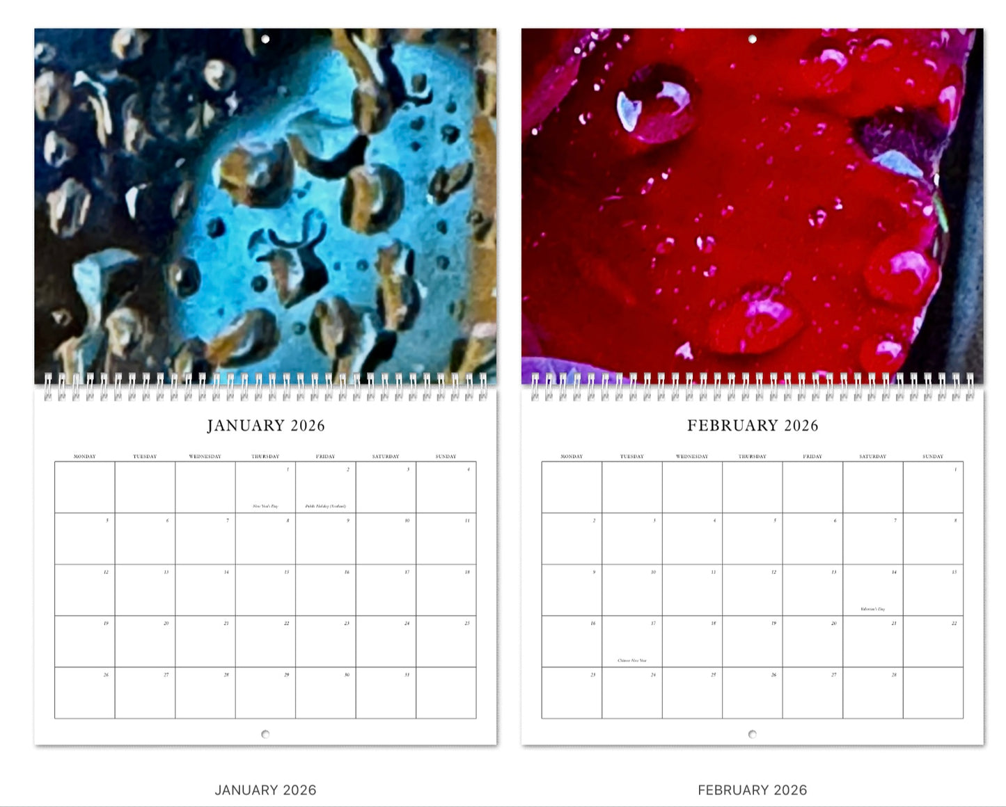 Through the Rain: 2026 in 12 Feelings